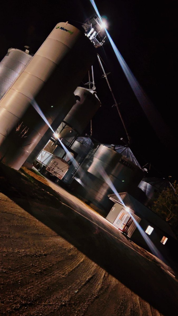 van_beets's tweet image. Day one 1️⃣  of corn 2024