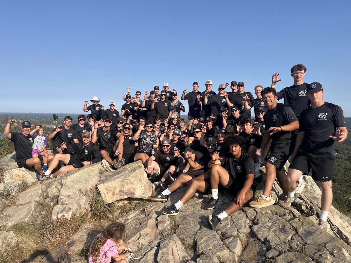 UCA Baseball tweet media