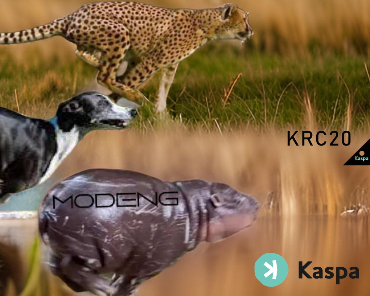 JimmyD046430668's tweet photo. What about the No1 Hippo in the #KaspaEcosystem ๐๐๐ #Modeng on #KRC20 ๐ฆ๐ฆ #RespectfulCommunity ๐๐ https://t.co/tmrU0uvXBO