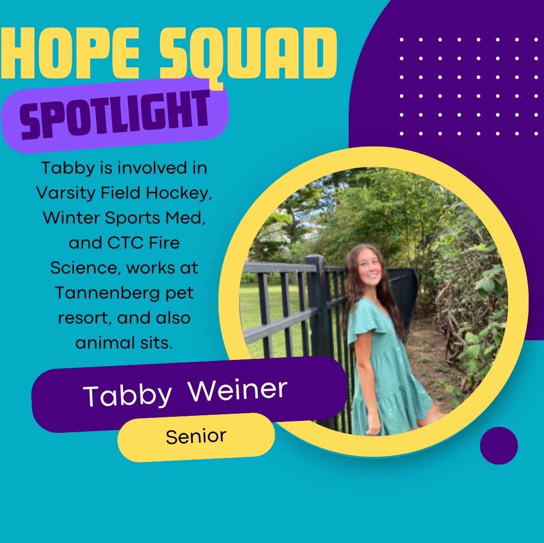 SPOTLIGHT INCOMING! please welcome Tabby with open arms!