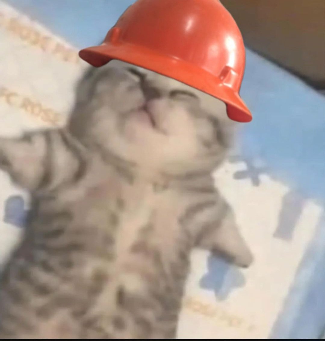 Catsillyness's tweet photo. After a long day of work https://t.co/6Afekt1qVW
