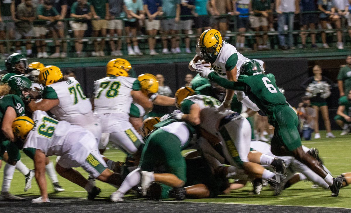 Brody Hamilton tweet media