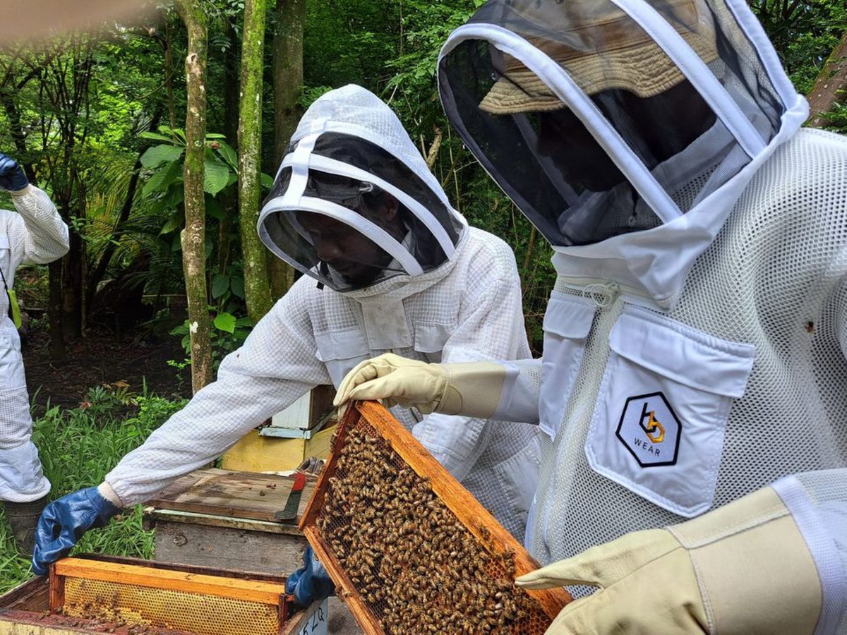 GEF_SGP's tweet photo. “The beauty is that now you have collaboration and cooperation amongst beekeepers from across the region, which will translate into a regional trade of honey that can be of great support for each country.” – Sharda Mahabir, @GEF_SGP Trinidad and Tobago https://t.co/FfWMTbF7wb https://t.co/ivtLzyq0mV