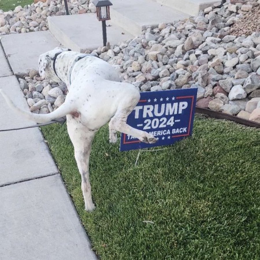 Morgan J. Freeman (@mjfree) on Twitter photo 