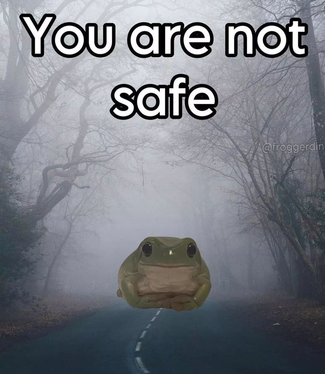 nocontextfrogs's tweet image. 