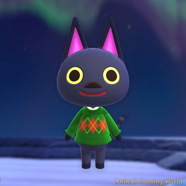 ACWorldBlog's tweet photo. Happy Birthday to Kiki! 🎉 🐱 https://t.co/nEEtb3FC8V