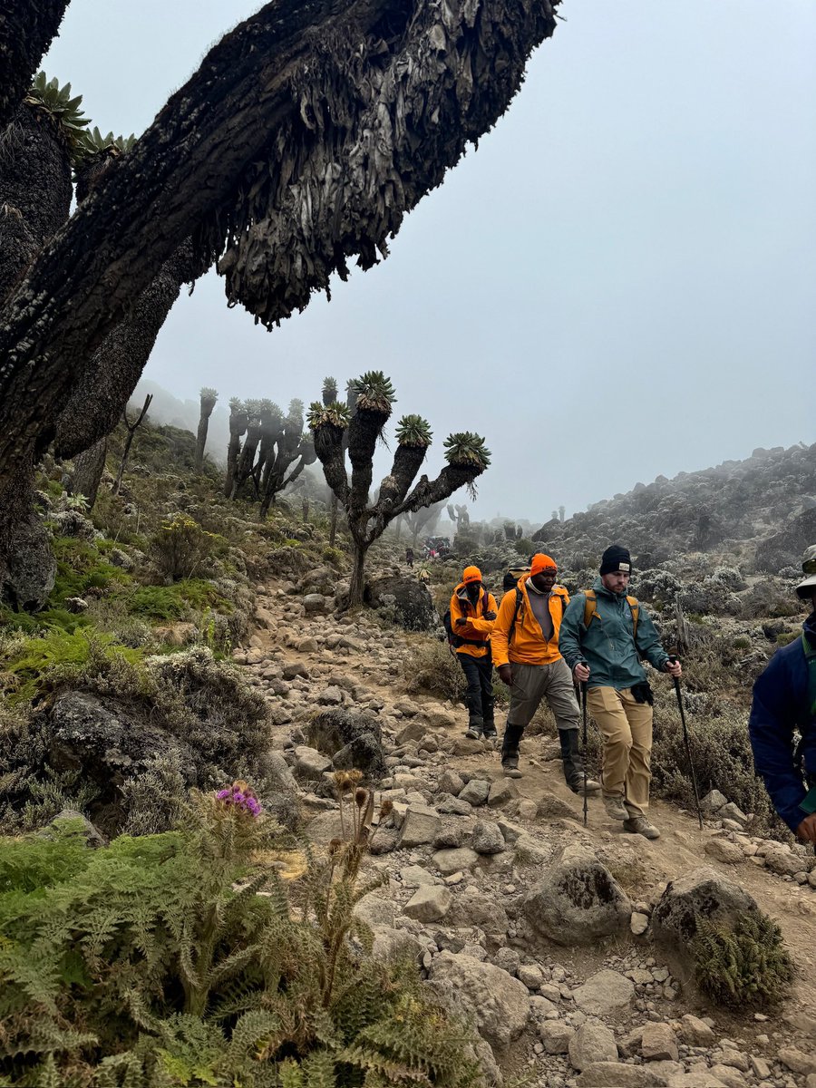 colbysprinkle's tweet image. Mt. Kilimanjaro, Tanzania 🇹🇿