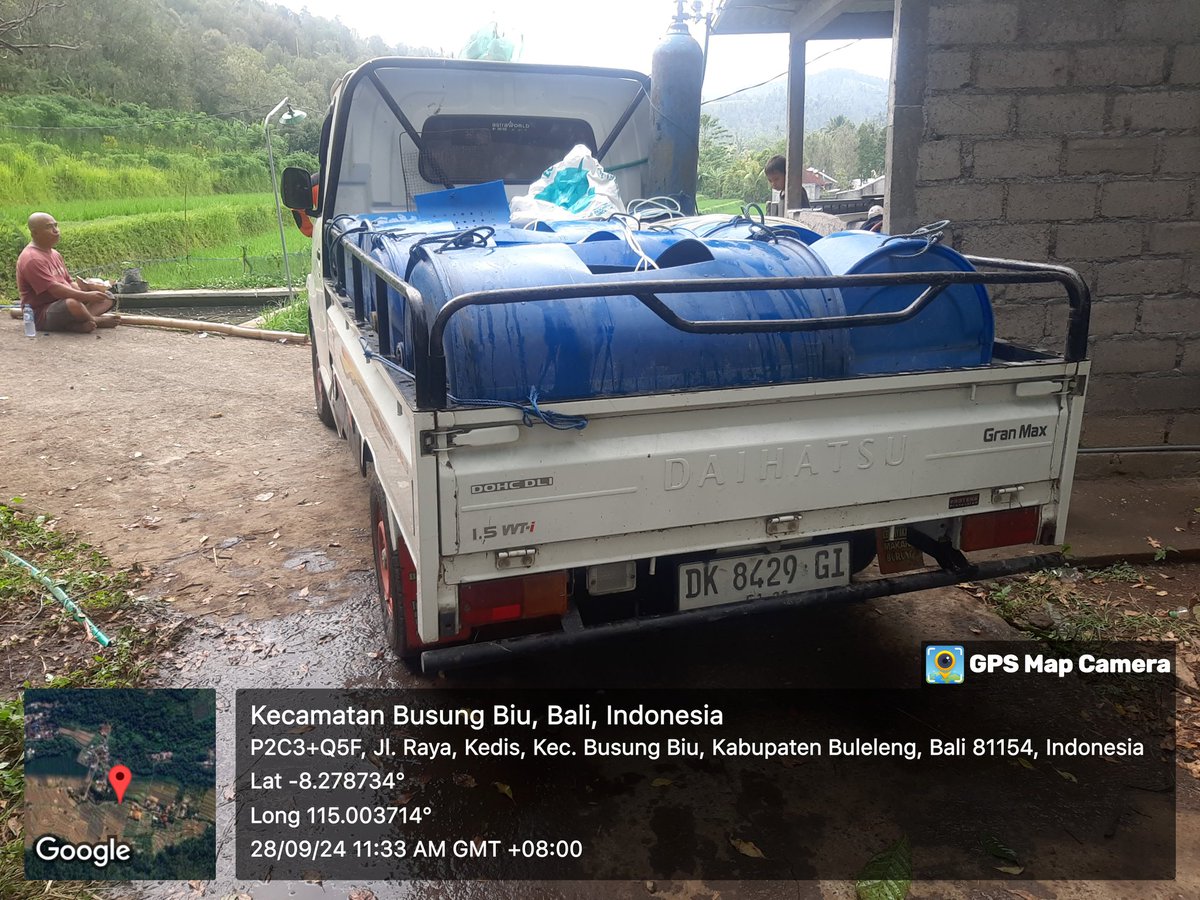 ketut_sarda's tweet photo. 8/9/ 2024 , Ketut Sarda Luhkan Buleleng,di POKDAKAN Sarwa Nadi Desa Kedis Kecamatan Busungbiu ,panen Nila ,Kolam Beton ,sebanyak 350 Kg,luas kolam 2,0 Are ,zise 250-300 gram,harga 25.000/Kg
#GiatLuhkanSatminkalGondol
#Buleleng
#luhlapor
#brsdm_kp
@puslatlukp https://t.co/sGDutA8OKR