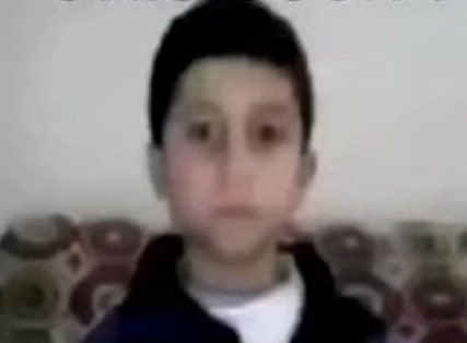 alo :): tweet media