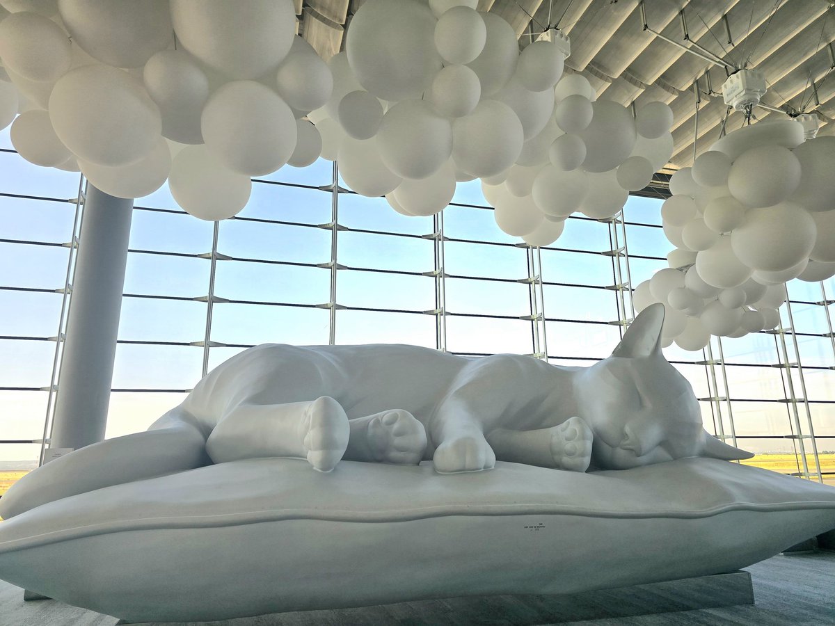 Giant cat sleeping on a pillow 13/10
July, 2024
 #Paris #CDG airport