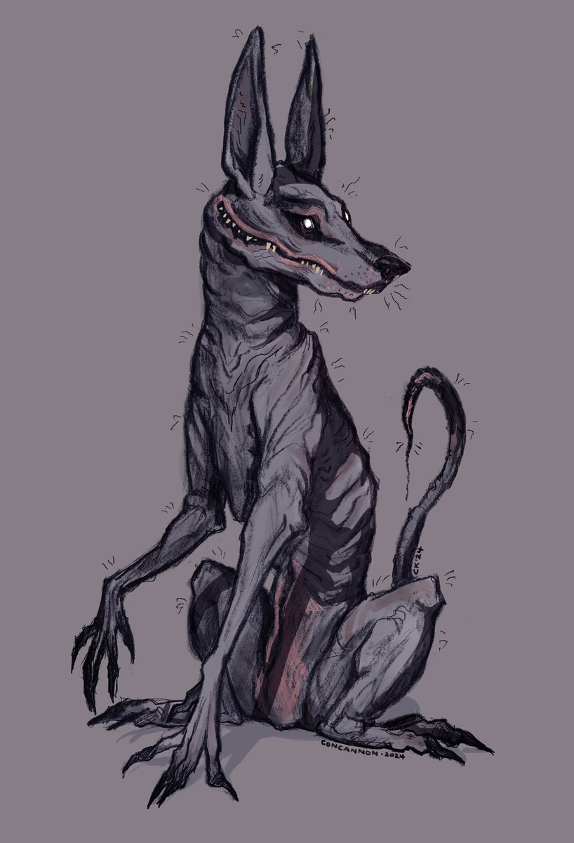 The Stray