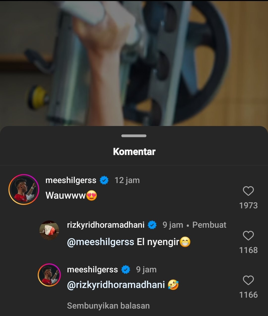 Mees Hilger
