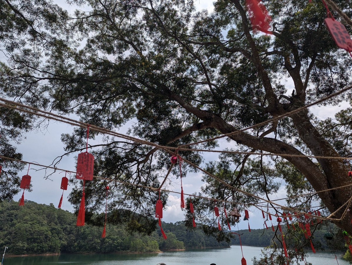 如果坚信这是一波牛市的话，今天的调整才是对新手的最佳呵护，首先这波新开户的老师拥有新手保护期，大礼包一定有而且会非常大，这波增量是市场最后的信心来源，输不起的最后一批人，如果赚钱了他们就是牛市最好的宣传者，所以这里才会把高铁停下来，给车上的人下来撒泡尿系歇歇脚，给新来的让让位，这