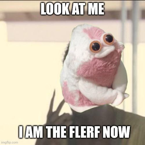alphaconfirmed's tweet photo. @Cold_xyz @MikeyTrading Good trade for you $flerf WAGMI https://t.co/W3vQI0ItLO