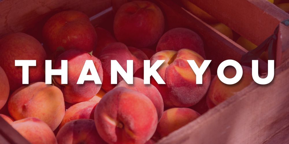 A few thoughts on ASSFEST M24 as we start to prepare for M25 ✨AND✨ S25!

A VERY belated but HUGE thank you to our attendees, facilitators, assistants &amp; sponsors for a truly memorable, amazing weekend 🙏✨

…tralianschoolofsexuality.substack.com/p/so-much-to-s…