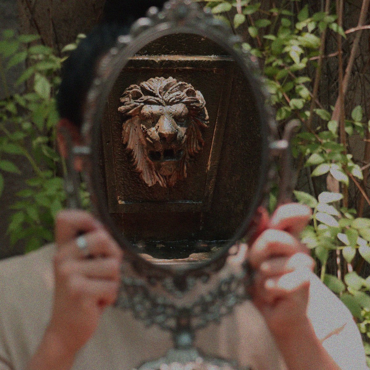 El león, como el maestro silencioso, no te enseña a través de palabras suaves o lecciones dictadas. El león siempre ha estado en tu corazón.