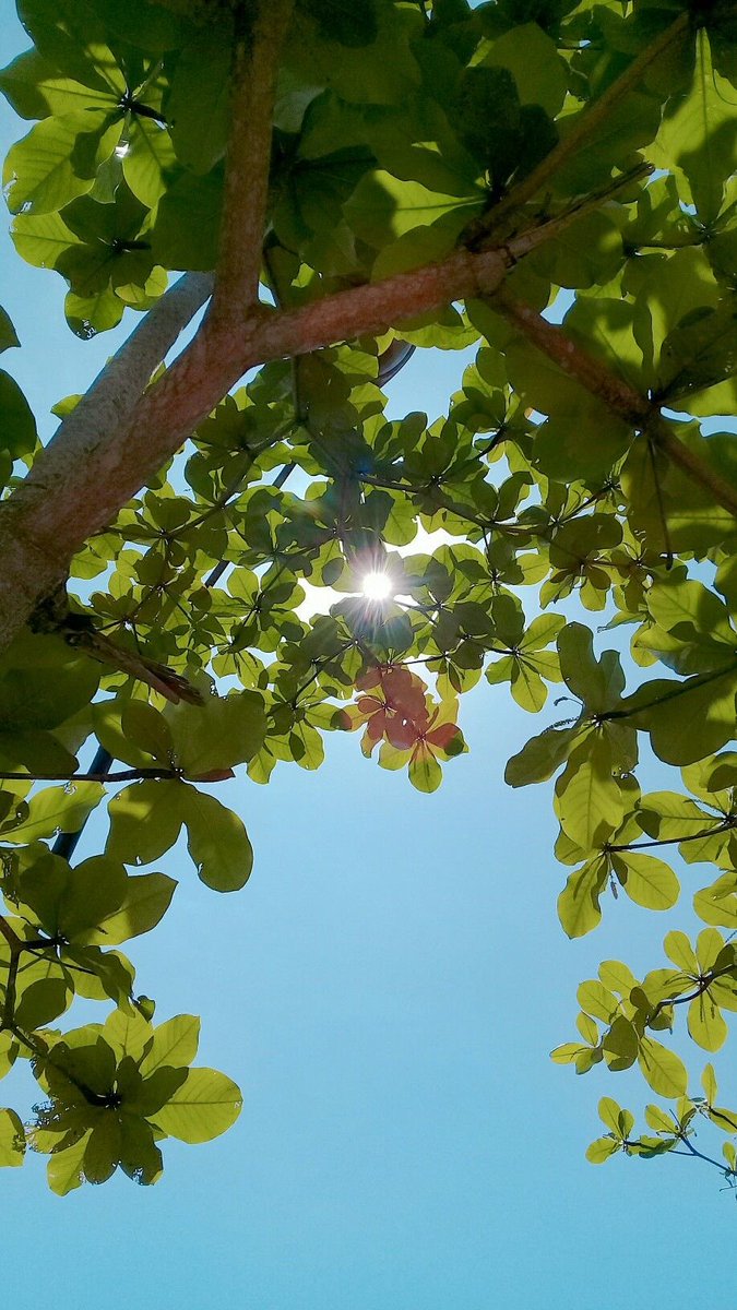 ᅠ ᅠ (@greendreaams) on Twitter photo 