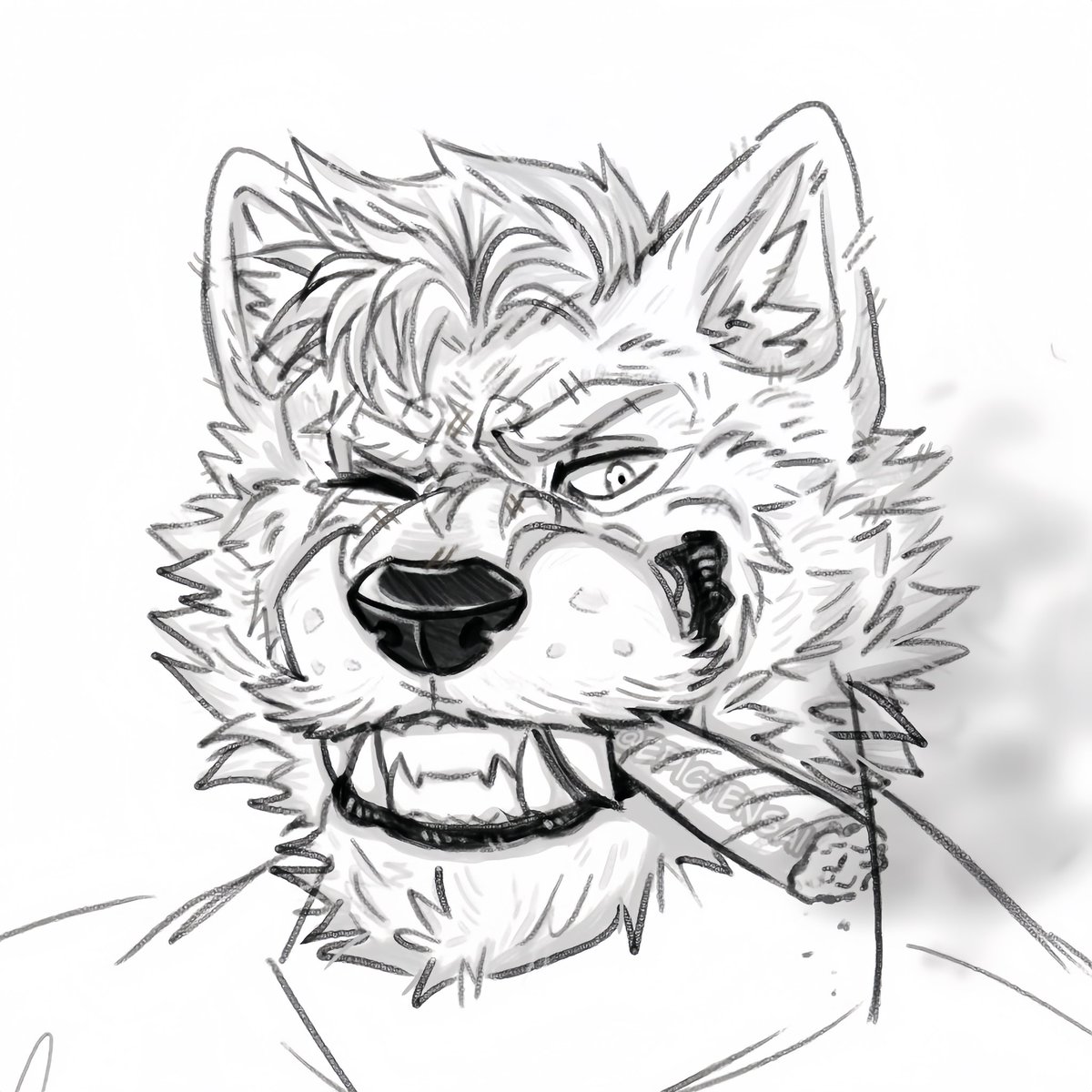 EpicTensai's tweet photo. #art #digitalart #traditionalart #sketch #doodle #originalcharacter #furryoc #anthro #anthroart #furryanthro #furryferal #furry #furryart #fursona #cutefurry #gayfurry #bufffurry #wolf #wolffurry #dogfurry #canine #caninefursona #dogfursona #wolfanthro #wolfdog #cigar #wolfart https://t.co/NurCR39znS