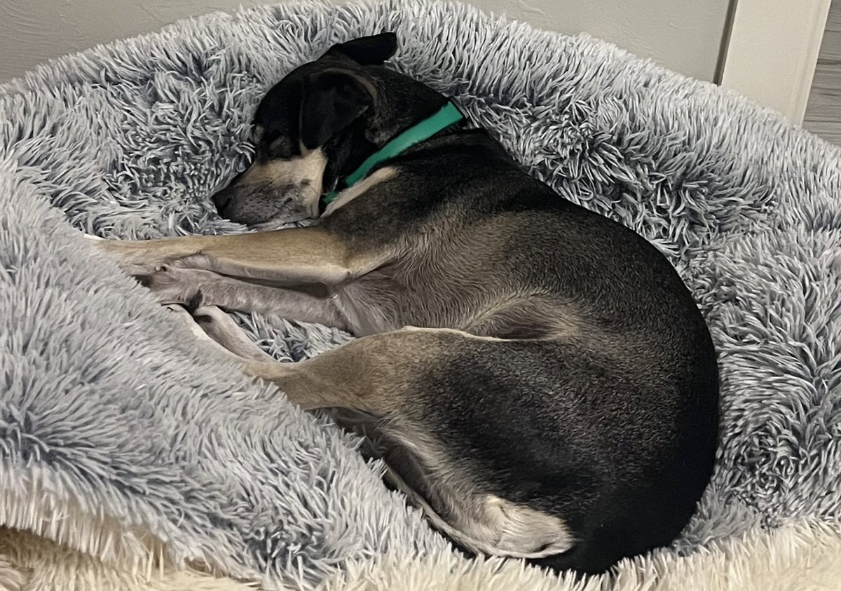 Sam Miller, Ph.D. tweet media