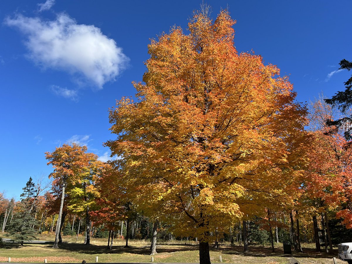 <a href="/courtney883/">Courtney Finnicum</a> UP of Michigan this week