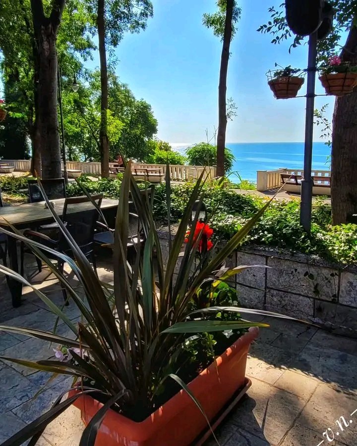 lovevarna3's tweet photo. Добро утро, Варна!
📷 Valentina Nikolova
.
.
.
✅  Follow @lovevarna3 

#varnacity #travelblogger #bulgaria #varnabulgaria #travel #обичамварна #waves #varnabeach #любов #fyp #море #sea #viral #keepcalm #lovevarna #beach #love #варна #varna https://t.co/tDp6Ph1b8K