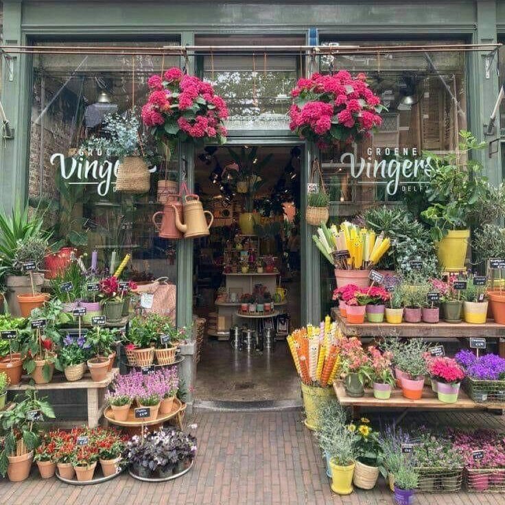 lvndrblossom's tweet image. create your own dream flower shop!•° 💐🌱🌷🪻🌹

••• an interactive thread •••
