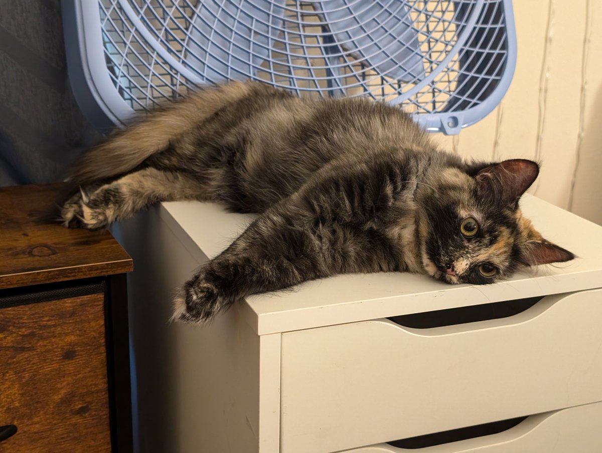 Latte is MELTING it is TOO HOT