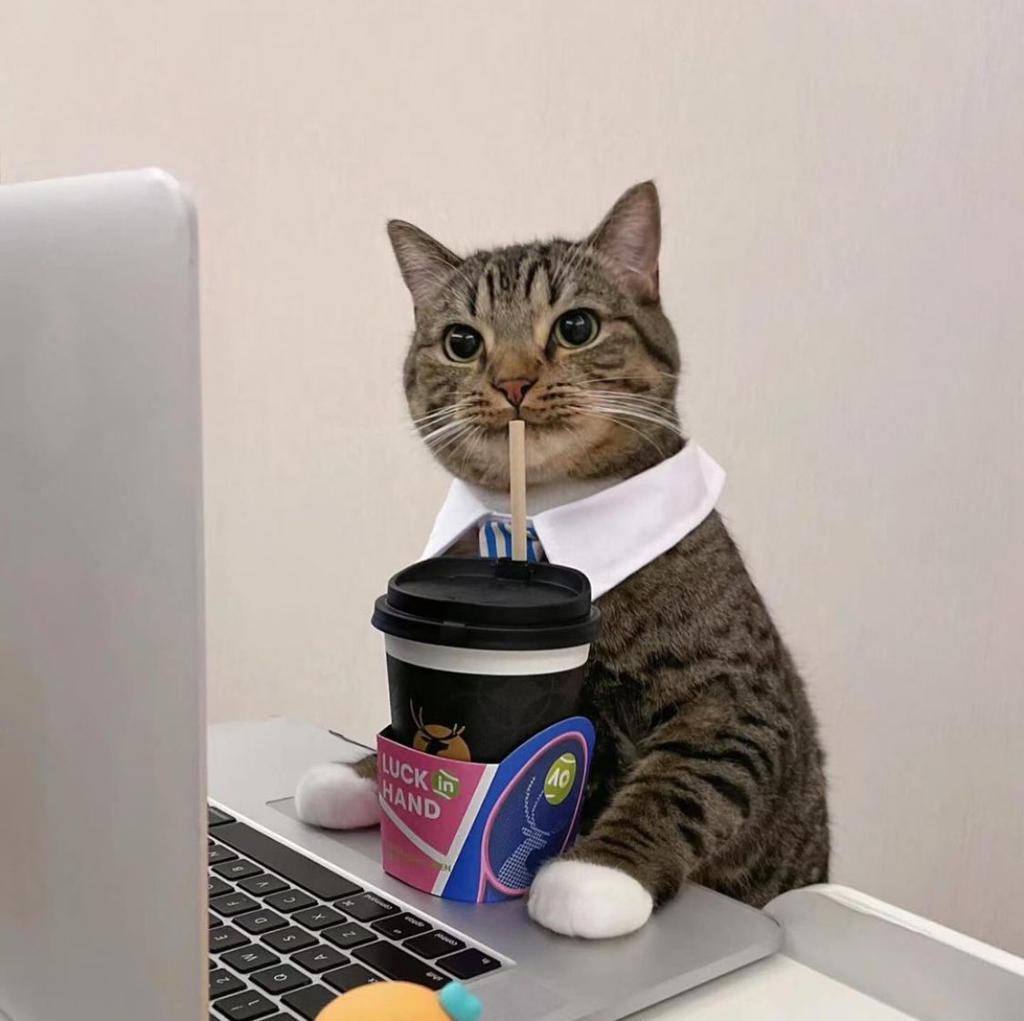 office worker