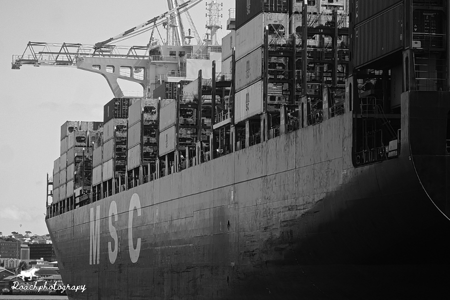 A ship is safe in a harbour, but that is not what ships are built for. #roachphotography #shipping #shipphotography #boats #boatphotography #cargoship #peharbour #ocean #marine #amateurphotography #picoftheday #WANDERLUST #blupebblestours