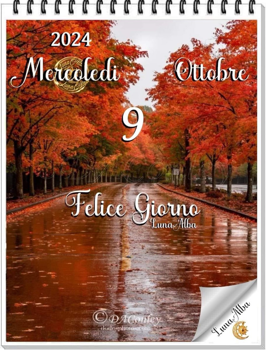 RITABIANCHi56 tweet media