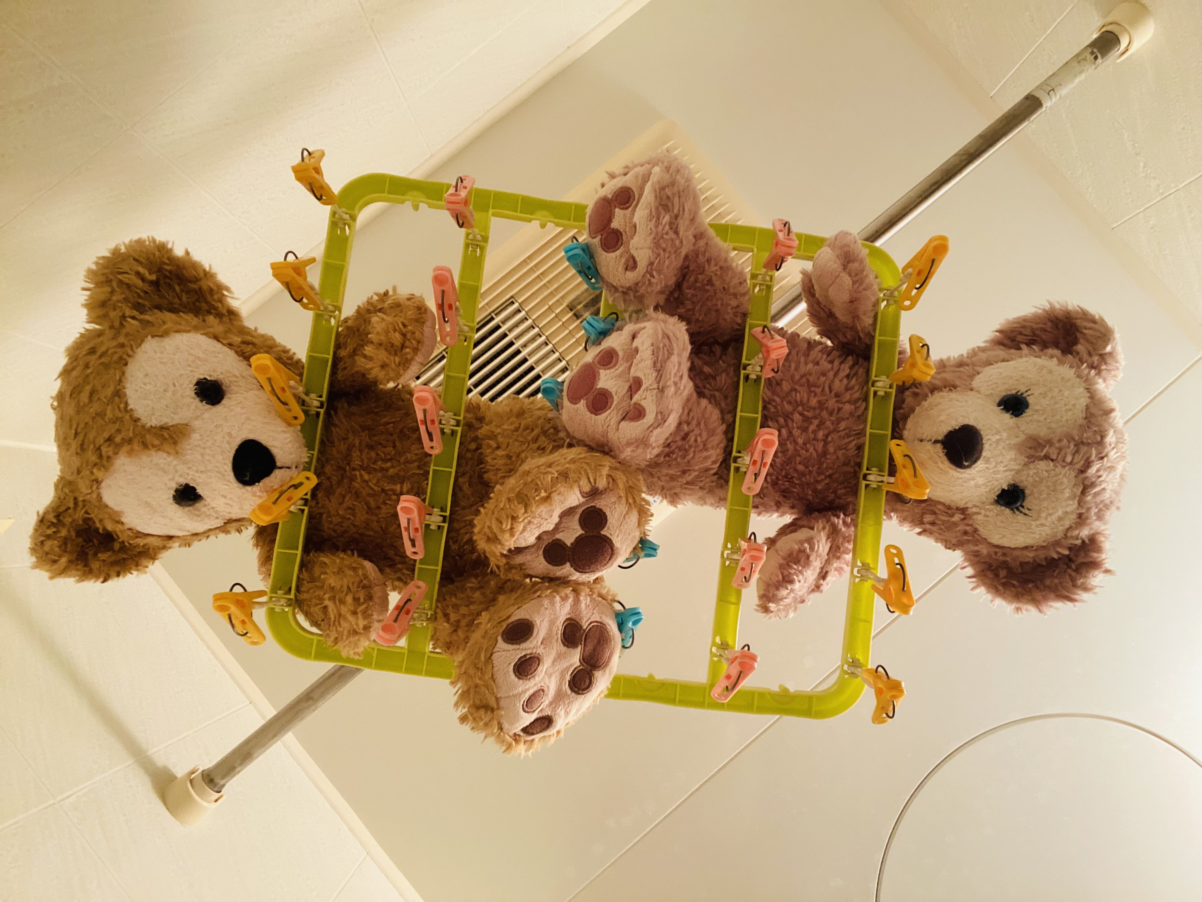 ダフィフレ - Search / X