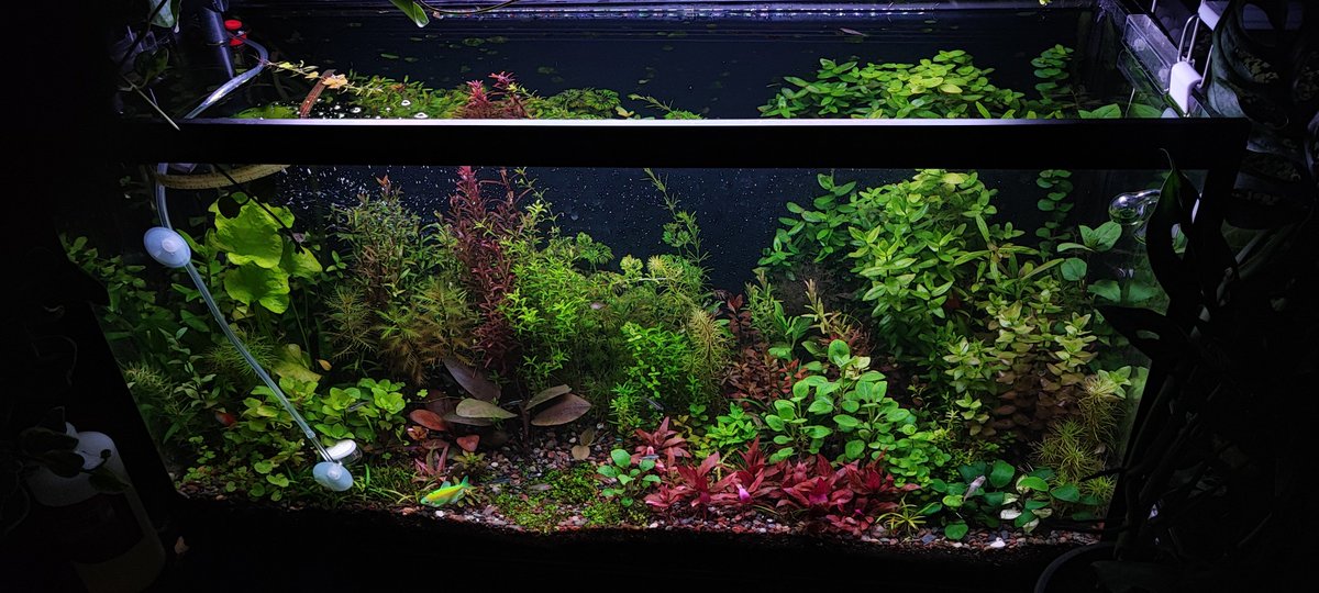 ALEXCKO🐶✨ tweet media