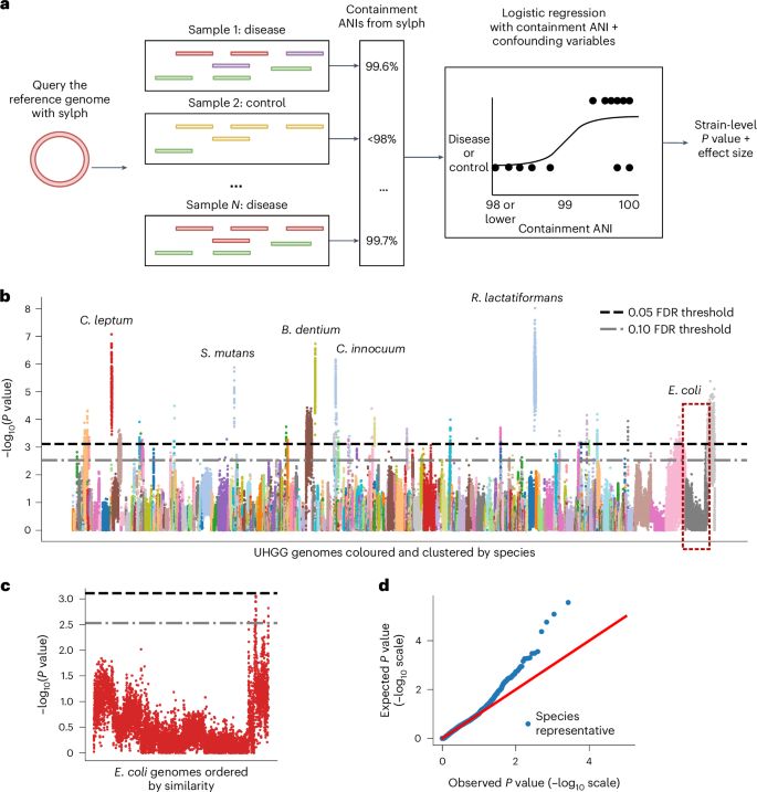 Rapid species-level metagenome profiling and containment estimation with sylph  nature.com/articles/s4158… 🧬🖥️  github.com/bluenote-1577/…