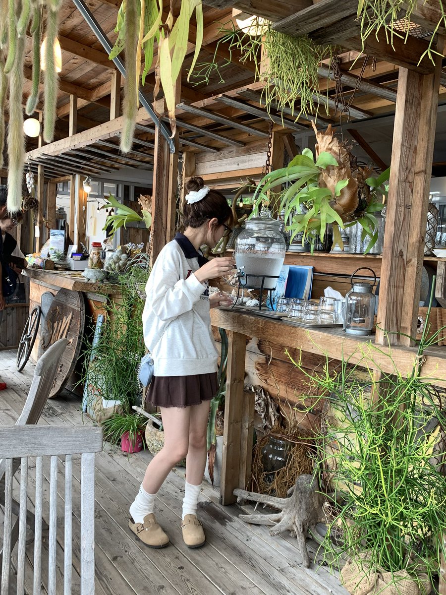 momo tweet media