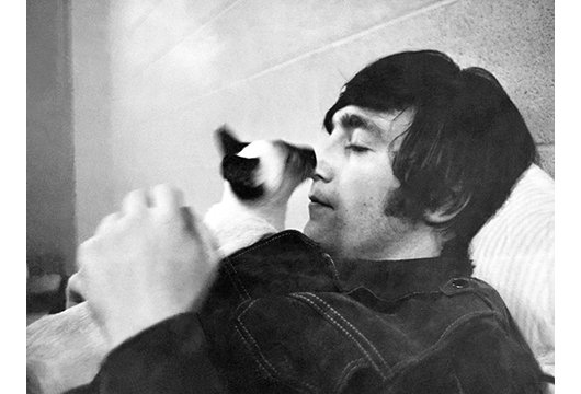 “You can manicure a cat but can you caticure a man?”

🎂 Happy Birthday to cat-lover John Lennon - born on this day in 1940.