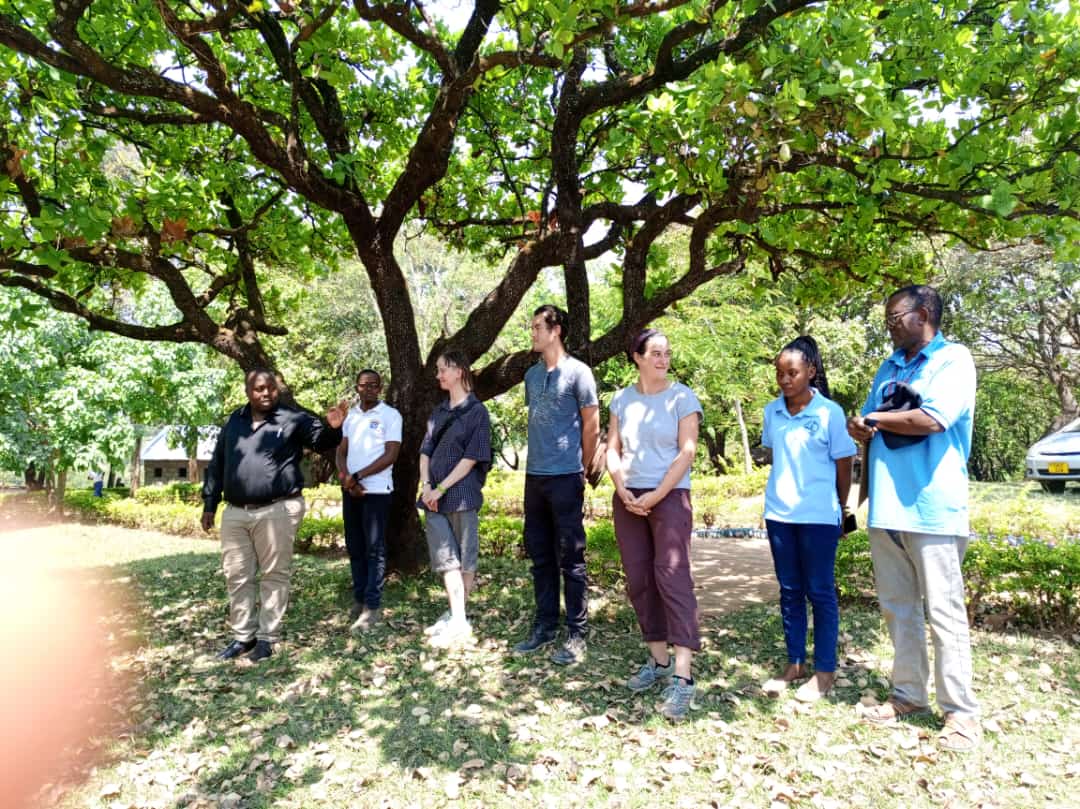 TAFIRI and the University of Cambridge Conduct Research on the Effects of Water Light Changes on Fish in Lake Kisiba, Located in Rungwe District, Mbeya.