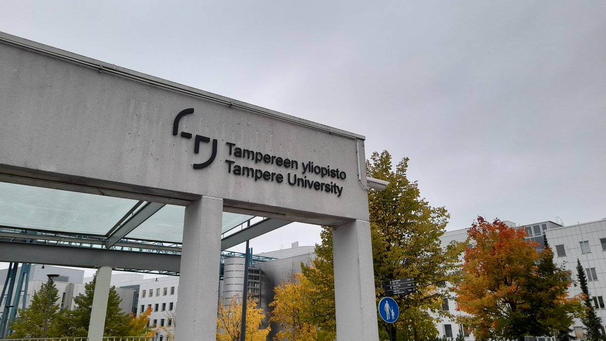 Corinna Casi tweet media