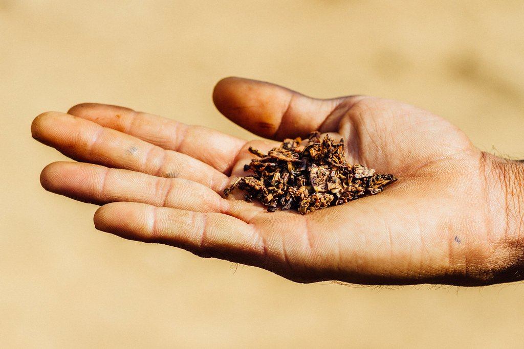 Harriet Rumgay tweet media