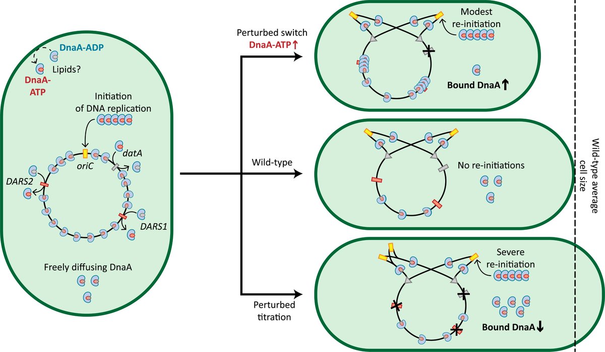 Stephan Köstlbacher tweet media