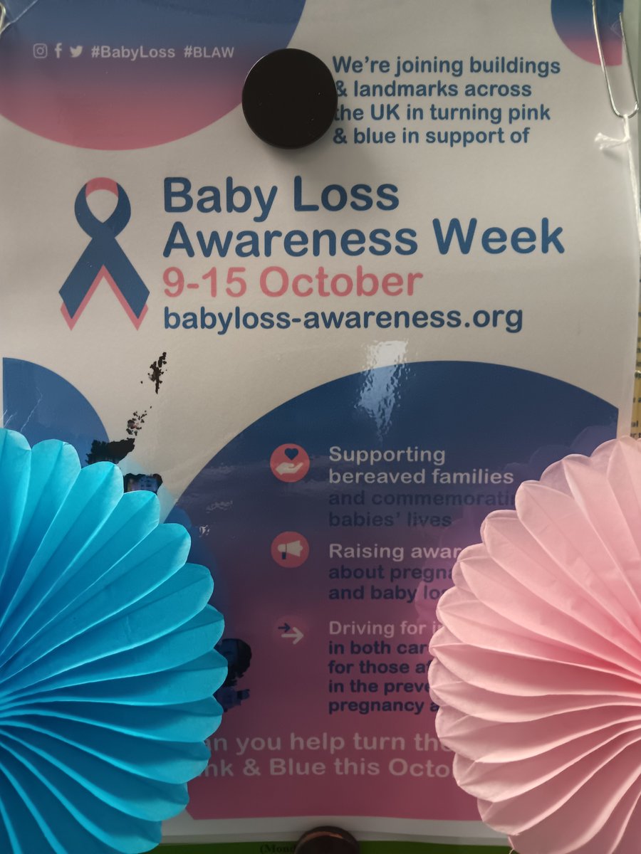 #babylossweek2024 <a href="/mse/">Monumental Sports & Entertainment</a>