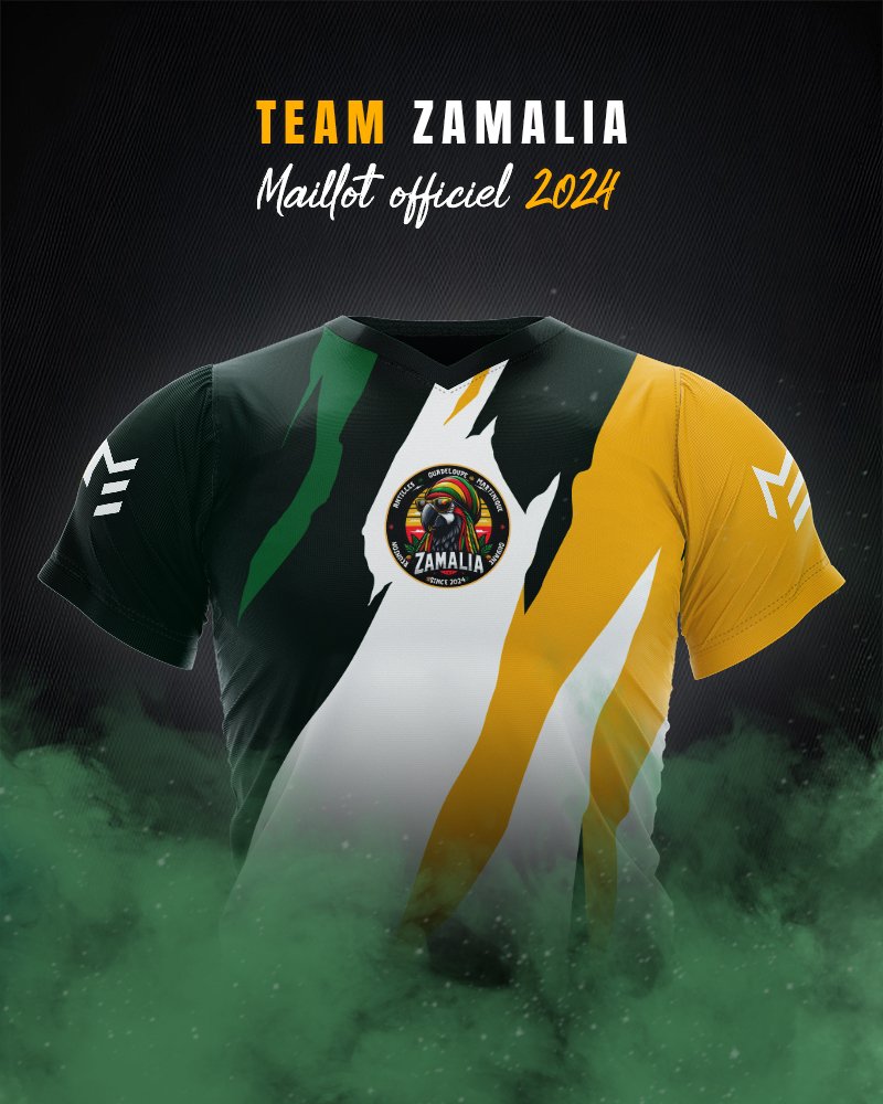 Le Maillot Esport 👕 tweet media