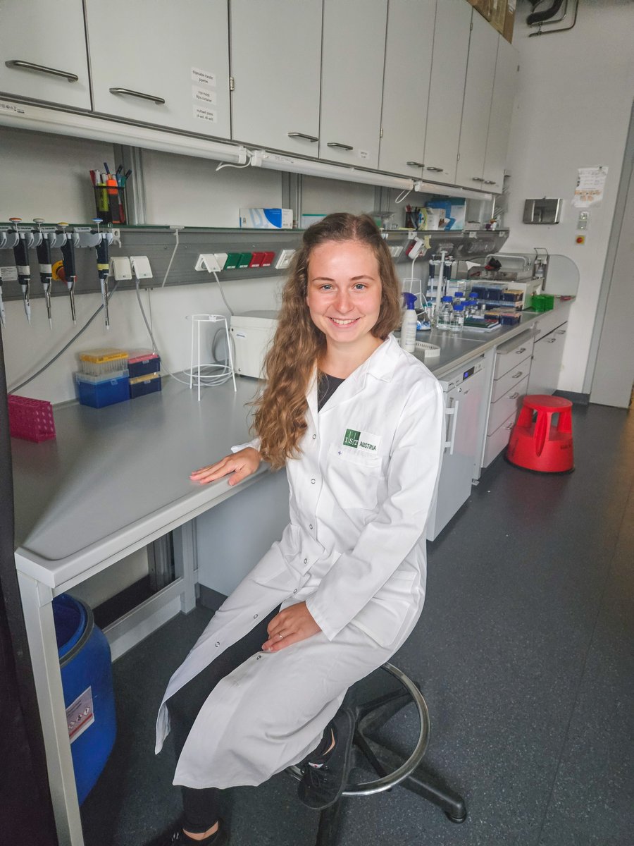 KichevaLab (@kichevalab) on Twitter photo Our final latest addition to the lab at <a href="/ISTAustria/">ISTAustria</a> is our fantastic new Postdoc <a href="/jindriskalf/">jindriskalf</a> ! She will expand on our work in understanding #neuraltube pattern formation our 2D organoid system #signalling #morphogens. We are all excited to have you here! Our final latest addition to the lab at <a href="/ISTAustria/">ISTAustria</a> is our fantastic new Postdoc <a href="/jindriskalf/">jindriskalf</a> ! She will expand on our work in understanding #neuraltube pattern formation our 2D organoid system #signalling #morphogens. We are all excited to have you here!