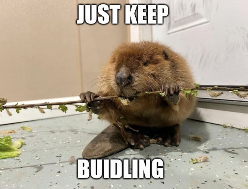 taye_lens's tweet photo. @CryptoTalkMan Just keep building.
#nibi #Buildthdam https://t.co/DQR1Vcmsbq