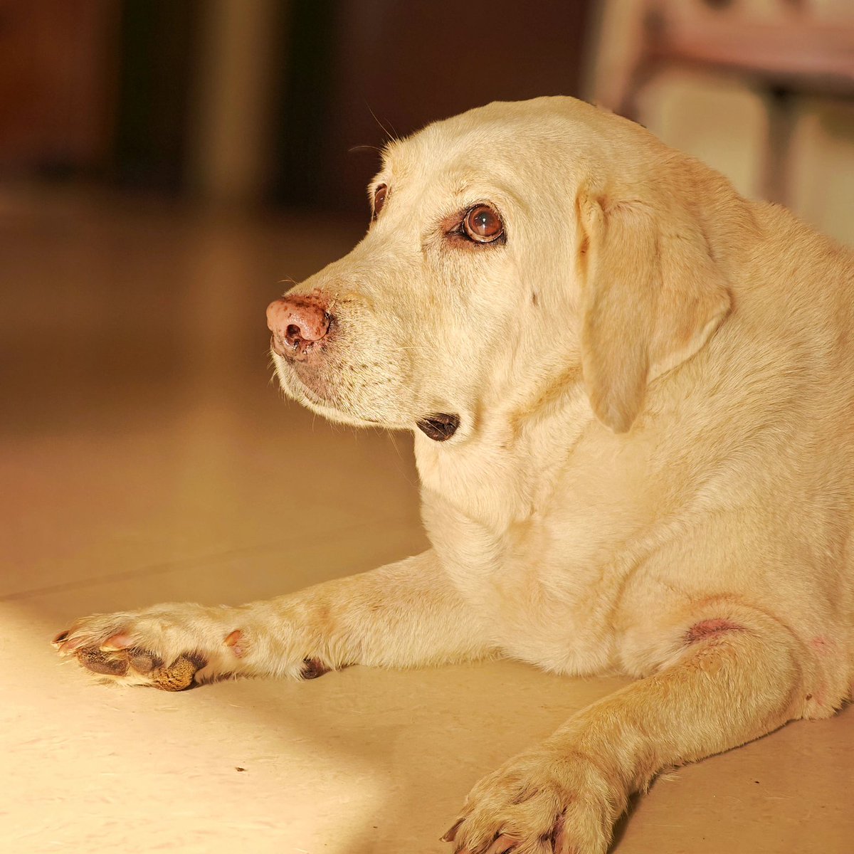 Sachin Kalbag tweet media