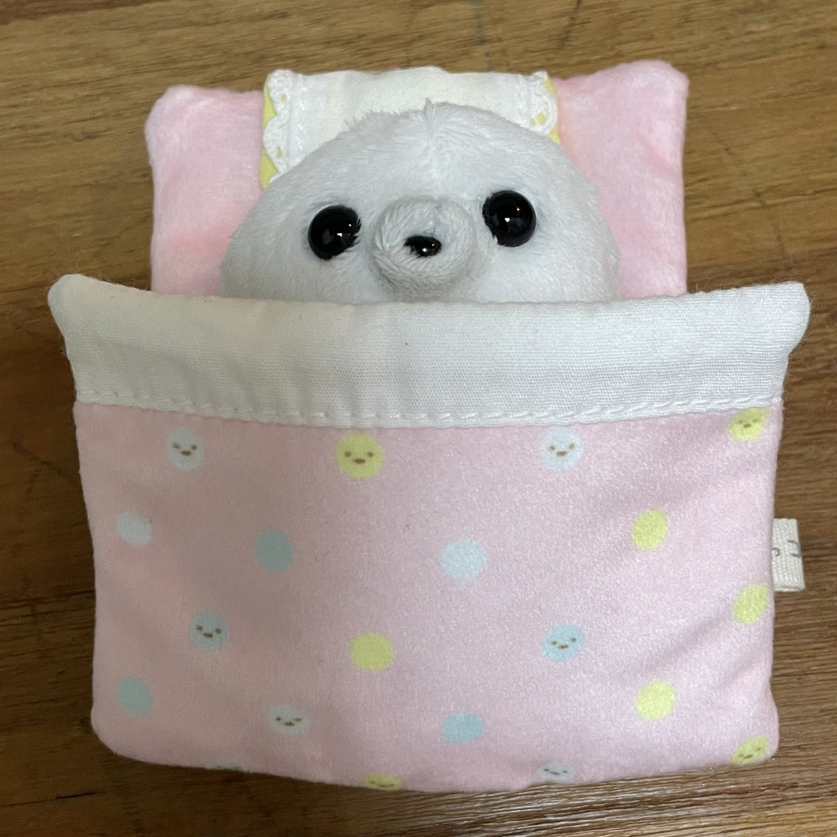 寒いのでお布団調達