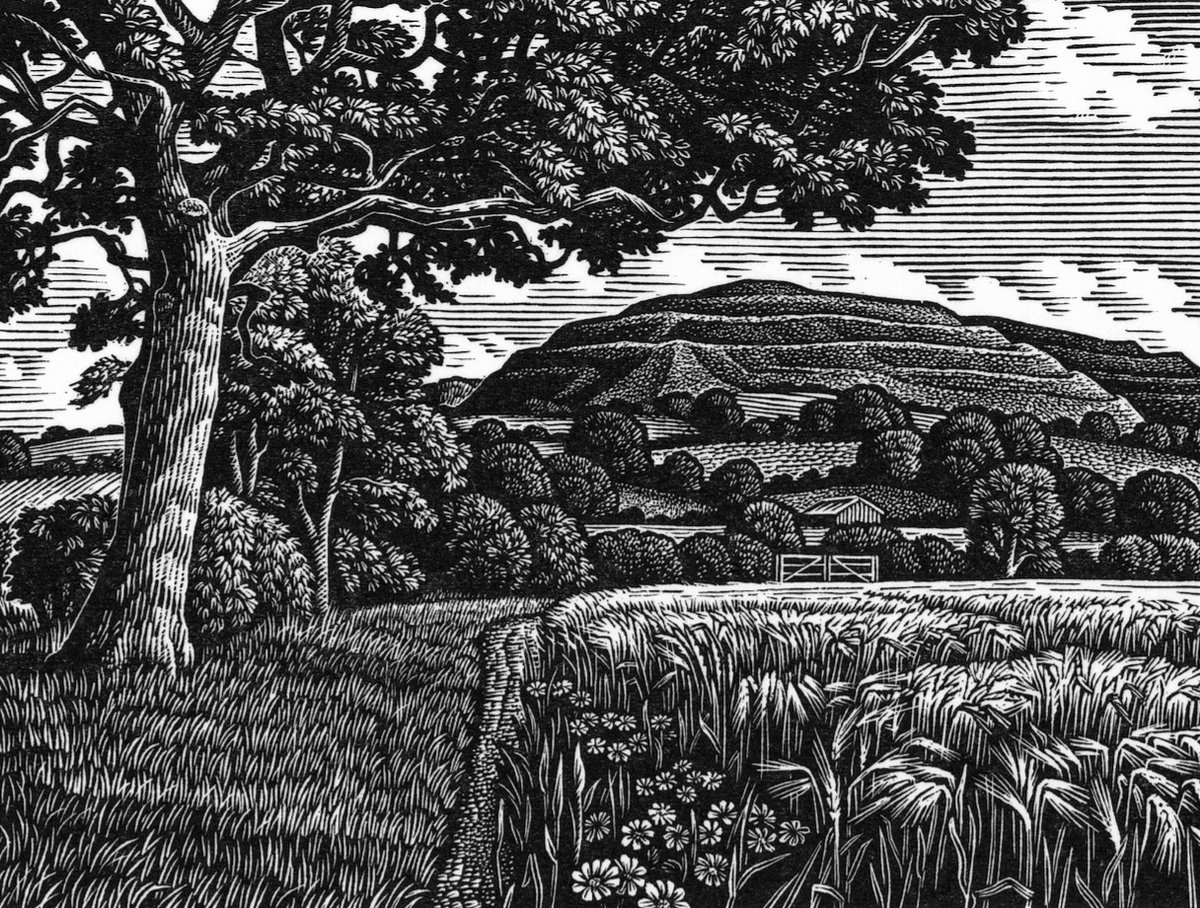 The mighty multivallate hillfort atop Hambledon Hill has been dominating NE #Dorset since the Iron Age

It has never looked more magnificent than in this wood engraving ink print by (and © of) Howard Phipps 🤩

For more see

howardphipps.co.uk 

Happy #HillfortsWednesday!