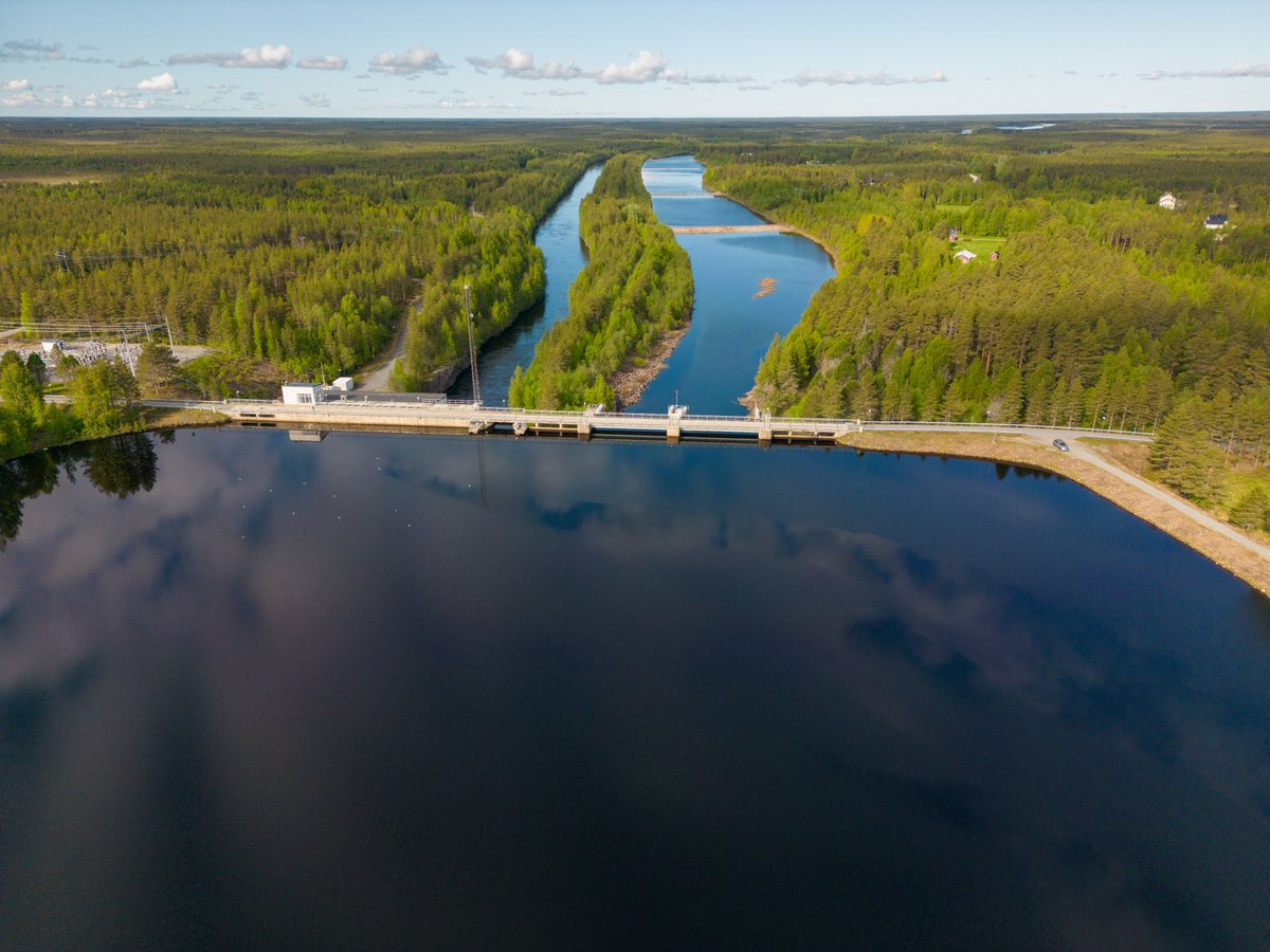 LukeFinland's tweet photo. Vain pieni osa Iijoen lohen vaelluspoikasista selviää alasvaelluksesta. Pullonkaulana Iijoella on Pahkakosken voimalaitos, jonka yläpuolelle pysähtyy yli puolet vaelluspoikasista.

#iijoki #lohi https://t.co/ha3qgwJxxL
