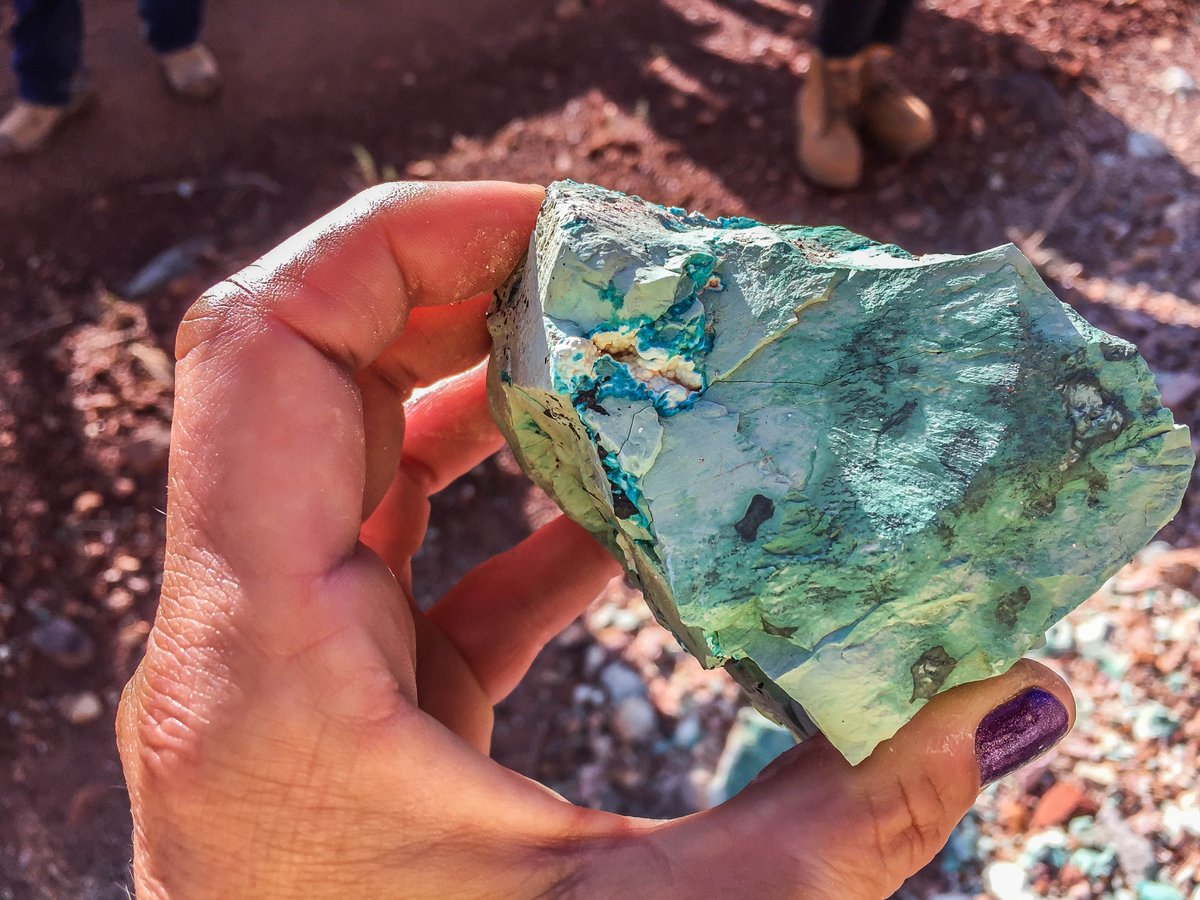 CoRE Learning Foundation tweet media