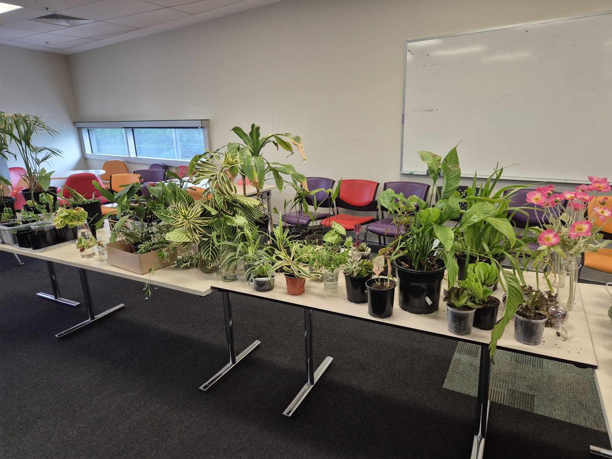Kate Beecher Matthews (she/her) (@beecher_kate) on Twitter photo 🌱Had a lovely morning at plant swap for #MentalHealthWeek at #UQCCR!🪴Thank you Crochet Club—what a perfect way to blend creativity, connection, and nature for wellbeing!🧶💚
#SelfCare #CommunityWellbeing #PlantSwap #MentalHealthMatters #CrochetAndChill <a href="/UQ_News/">UQ News</a> <a href="/UQMedicine/">UQ Medicine</a> 🌱Had a lovely morning at plant swap for #MentalHealthWeek at #UQCCR!🪴Thank you Crochet Club—what a perfect way to blend creativity, connection, and nature for wellbeing!🧶💚
#SelfCare #CommunityWellbeing #PlantSwap #MentalHealthMatters #CrochetAndChill <a href="/UQ_News/">UQ News</a> <a href="/UQMedicine/">UQ Medicine</a>
