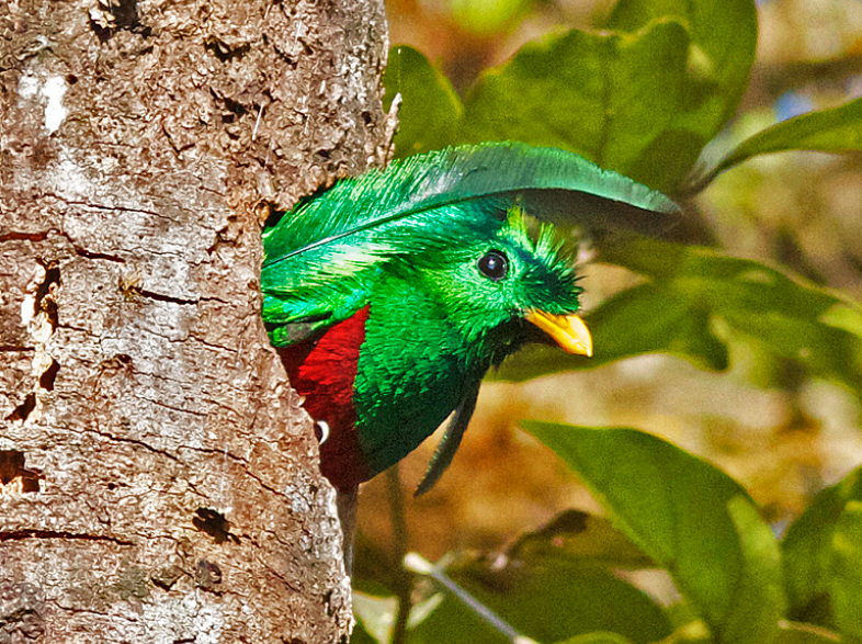 BU Biology & Zoology tweet media